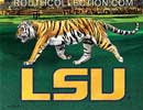 LSU Tiger on the Prowl