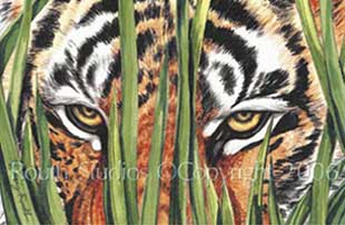 Peering Tiger Eyes Watercolor